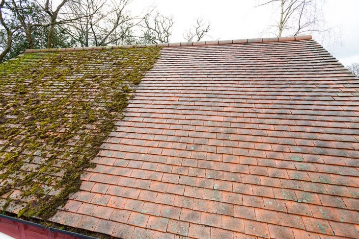 Best Time of Year to Remove Moss From Roof