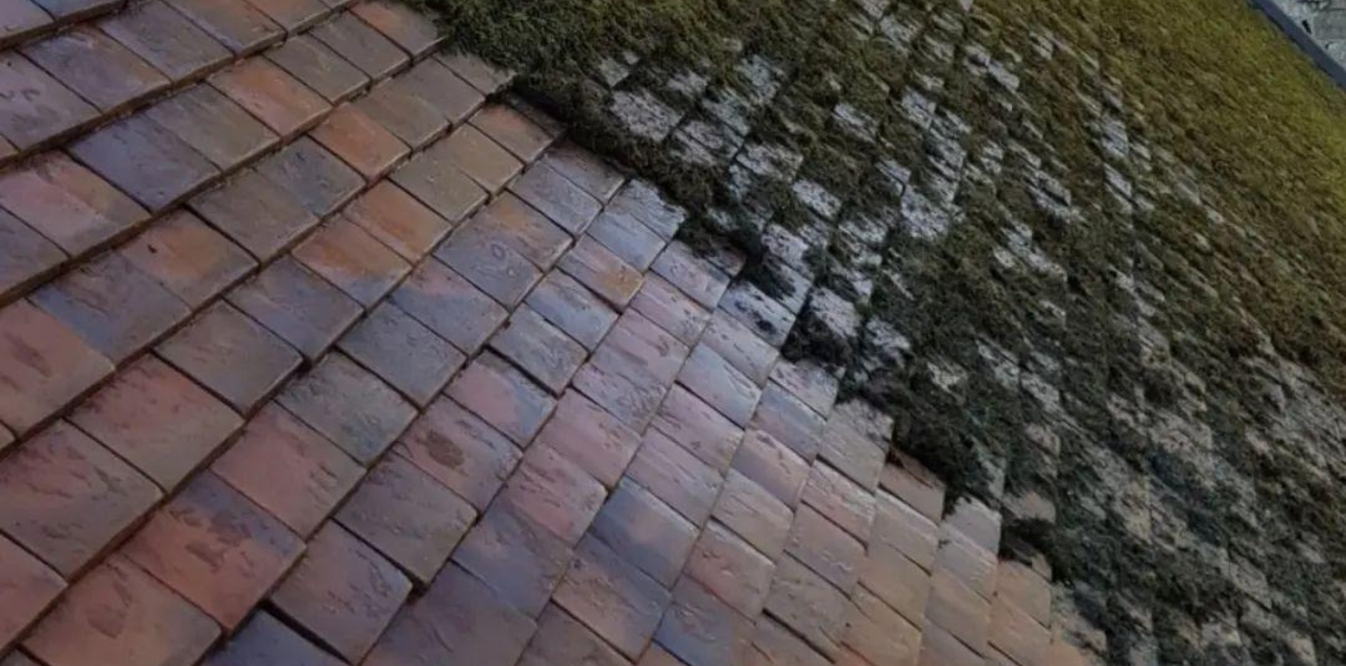 Roof Cleaning Before and After photos uk